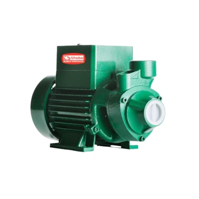 Bomba Solar Periférica 272W 44V 35MCA Ebara Thebe - TP CI