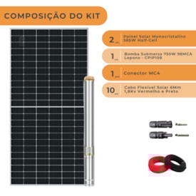 Segunda imagem do produto Kit Bomba Solar 750W Lepono até 98mca ou 3200l L/h
