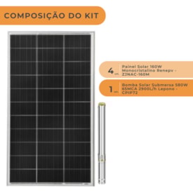 Segunda imagem do produto Kit Bomba Solar Lepono 580W 65MCA 2900L/h