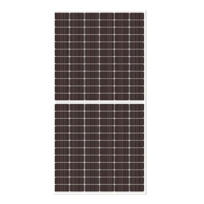 image_114a5b77-3884-4199-a83b-a5d7eaac19f4