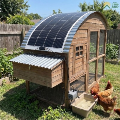 image_ff3988a5-9816-46c3-a206-71afdad4ee09