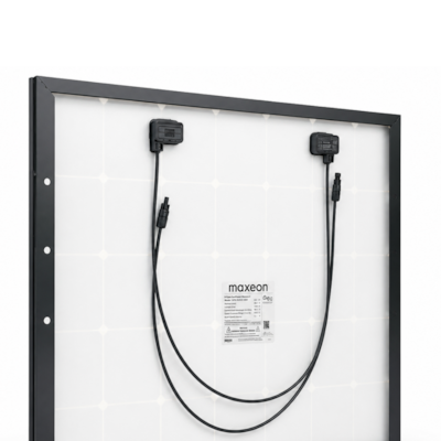 image_bfd5274c-8421-4138-a7c0-b4a0455531e9