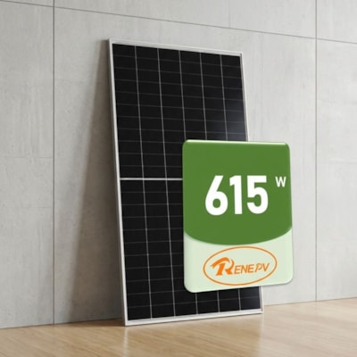 Painel Solar Monocristalino 615W Bifacial Half-Cell TOPCon ZY615G12RNHB-132